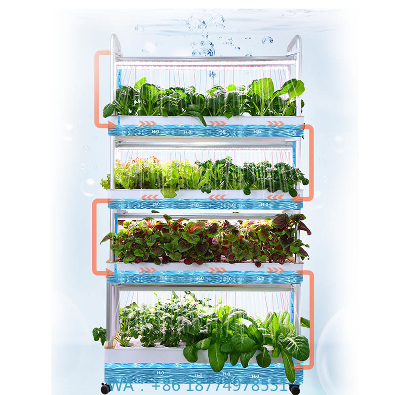 Diy Home Automation System - Sistema de plantación ydroponic Sistema de