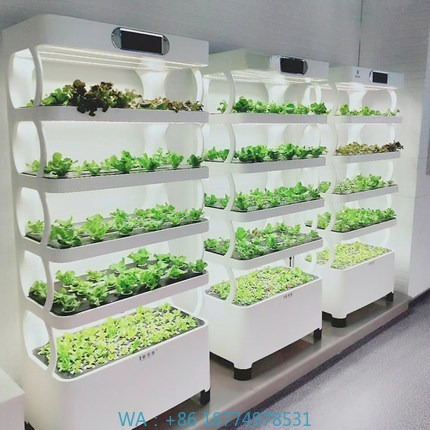 Sistema de cultivo automatizad - Diy Automation reseña y precio
